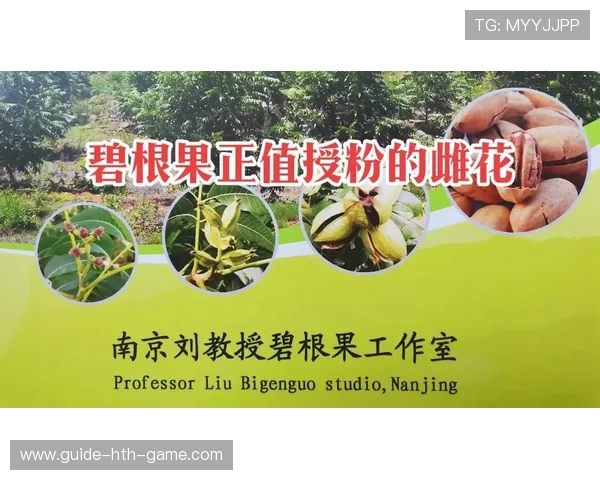 商务部启动碧根果调查，国内市场或受益，碧根果公司