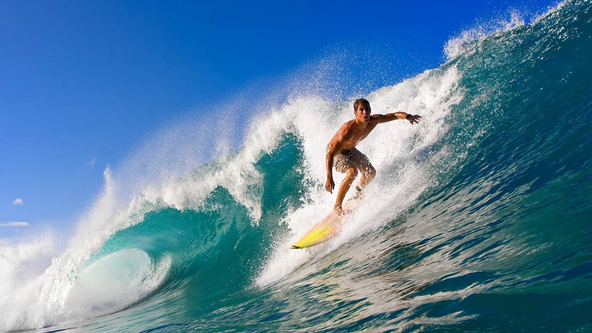 世界杯后勤保障细节被媒体披露引发点赞,世界杯的最后一名